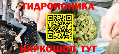 индика Ипатово