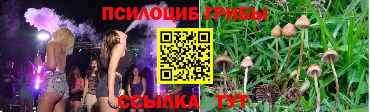 Псилоцибиновые грибы мухоморы  Галлюциногенные грибы MAGIC MUSHROOMS  Кувандык  Вход с VPN 